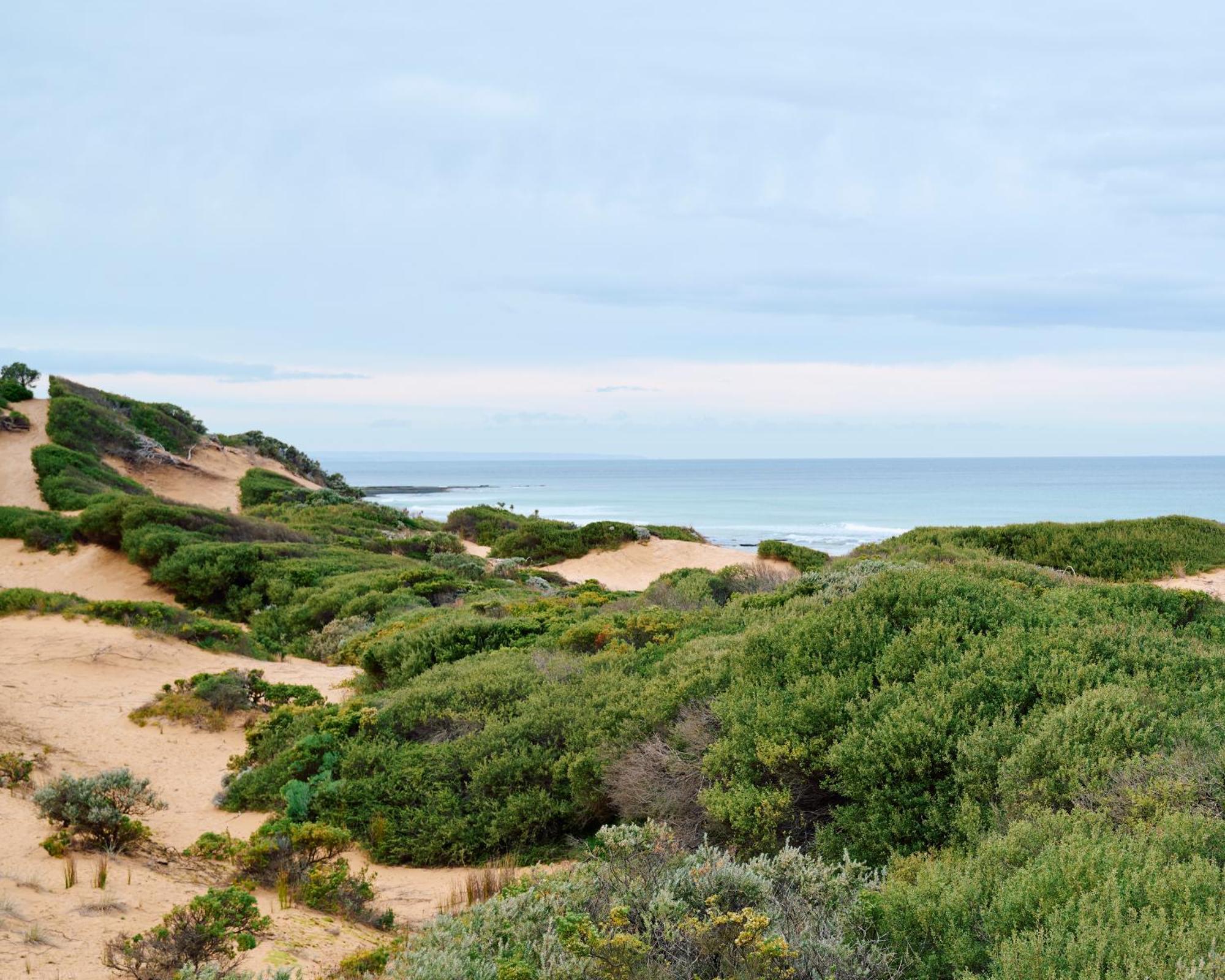Hotel Lon Retreat à Point Lonsdale Extérieur photo
